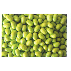 Green Watermelon Bubble Gum 2kg's